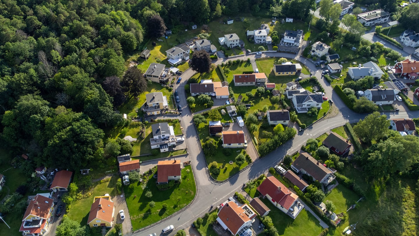 Summer in suburbia, Sep 2021