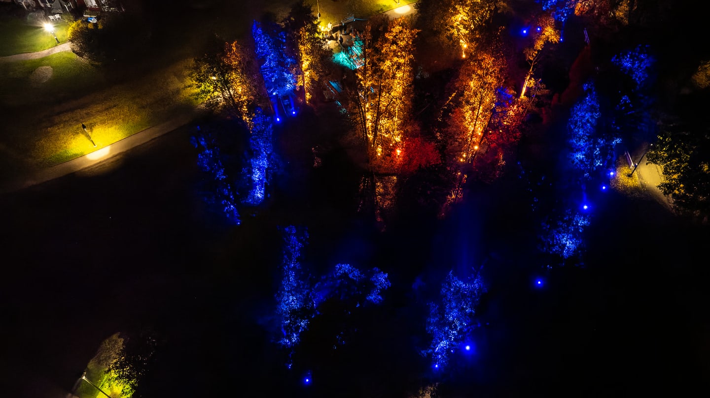 Lights1, Oct 2021
