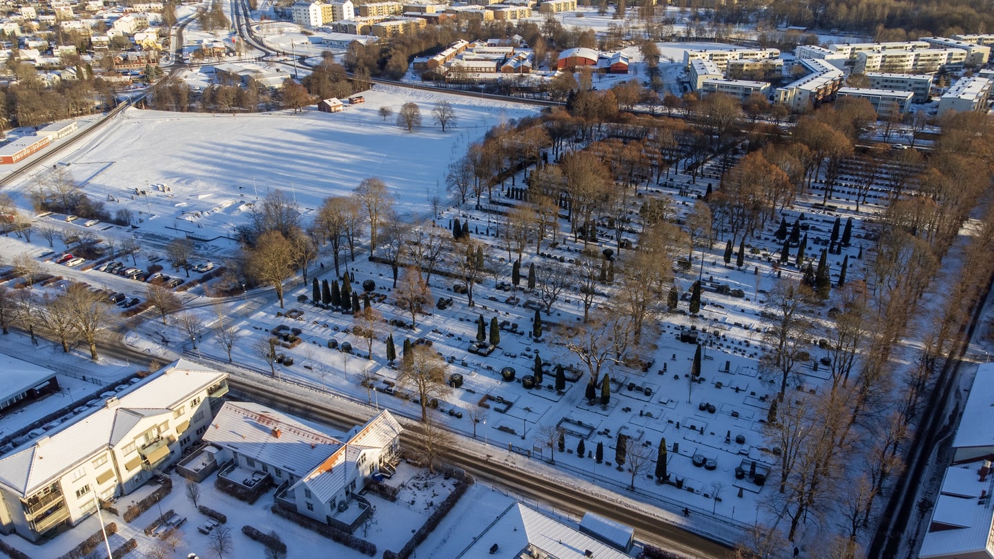 We've got snow!