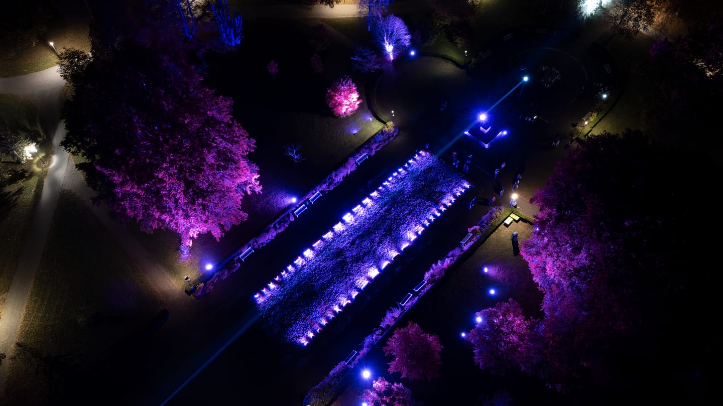A late-night drone view over lit trees and winding paths in Lights in Alingsås, with a bright purple crown near the right edge.
