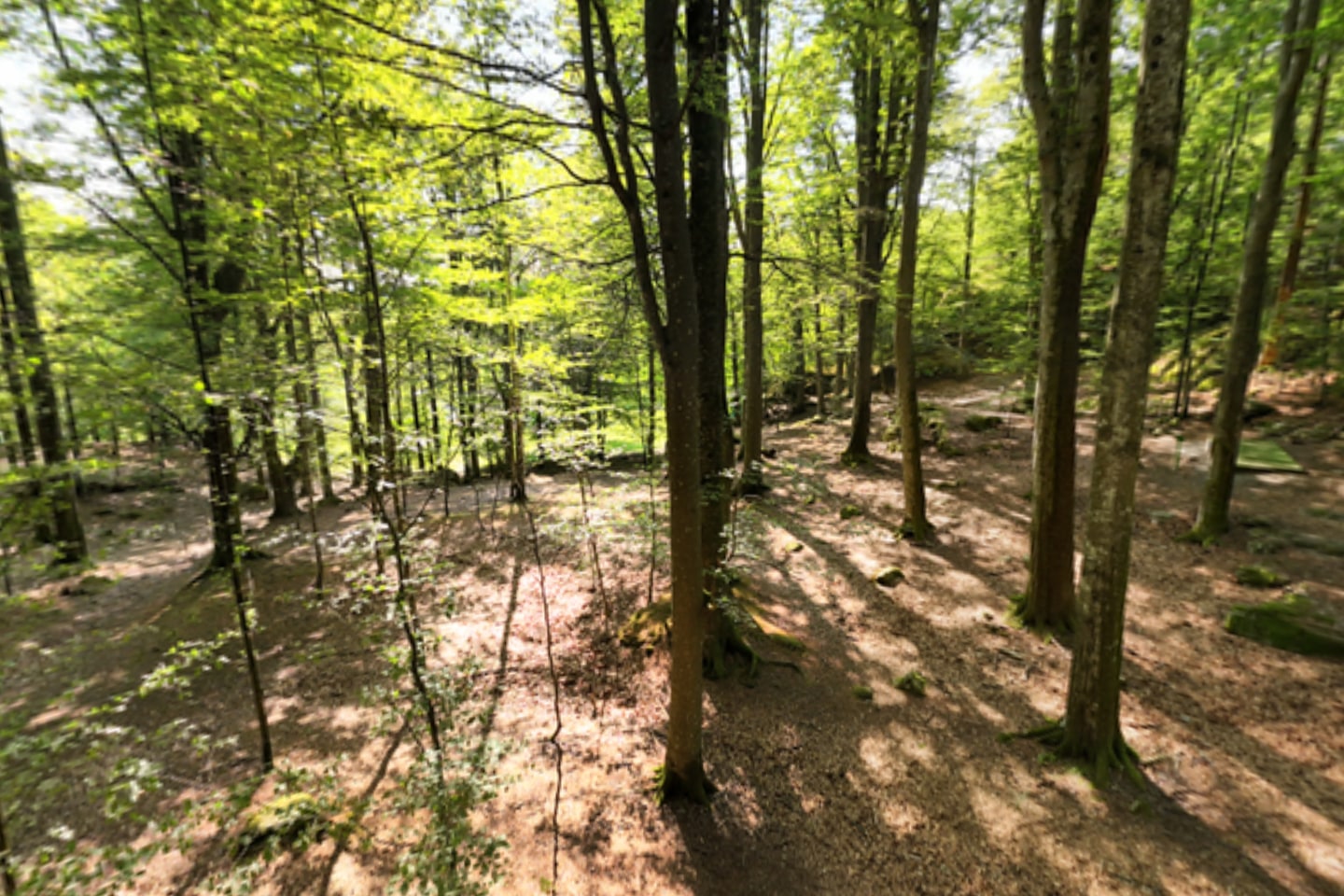 Normal view: DJI 20260713172213 0026 D
